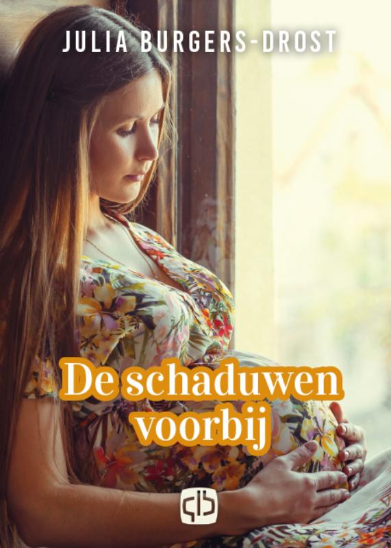 Omslag van De schaduwen voorbij