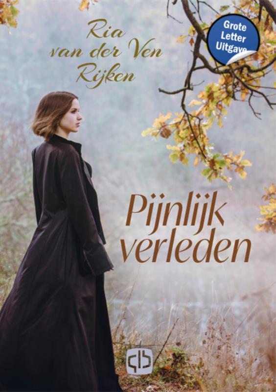 Omslag van Pijnlijk verleden