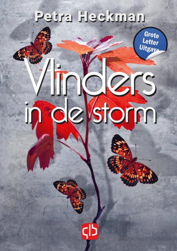Omslag van Vlinders in de storm