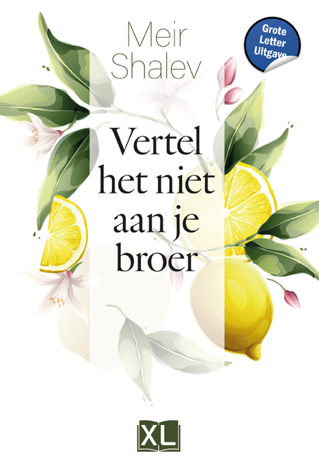Omslag van Vertel het niet aan je broer - Grote Letter Uitgave
