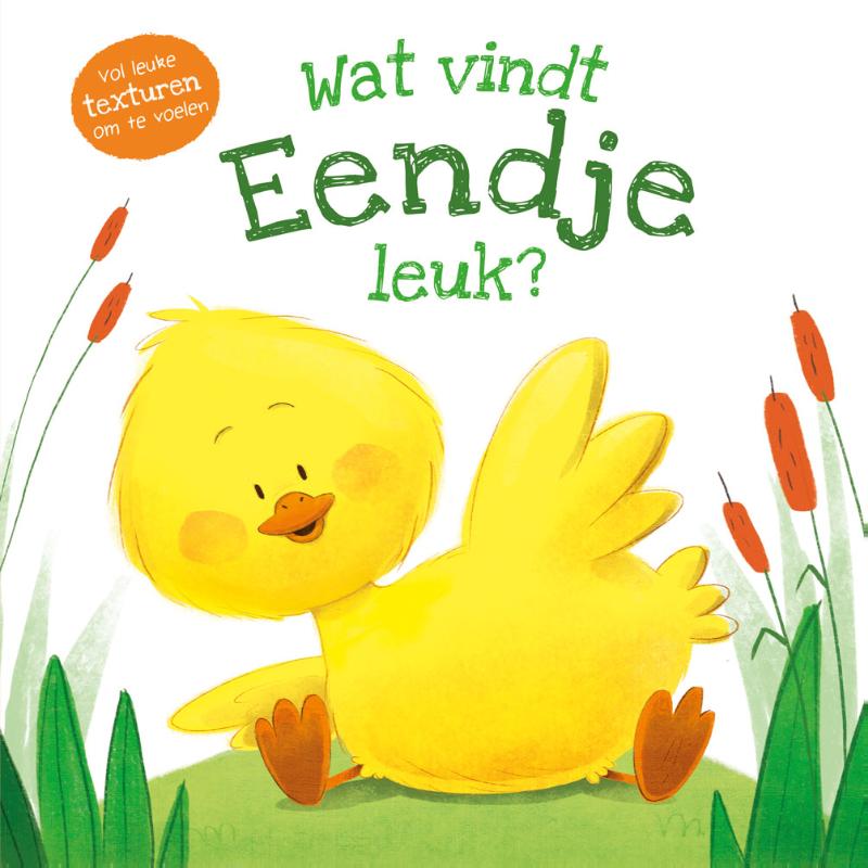 Omslag van Wat vindt eendje leuk?