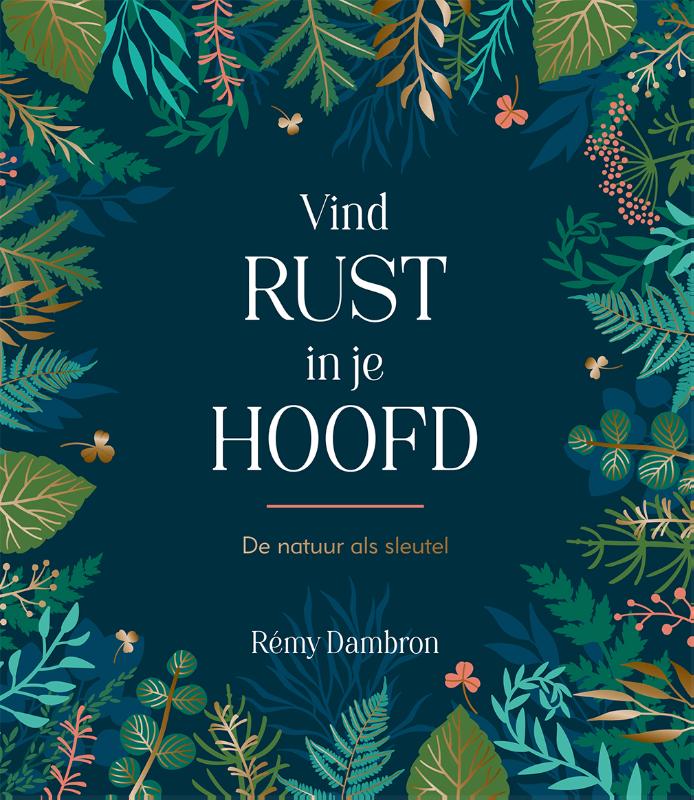 Omslag van Vind rust in je hoofd