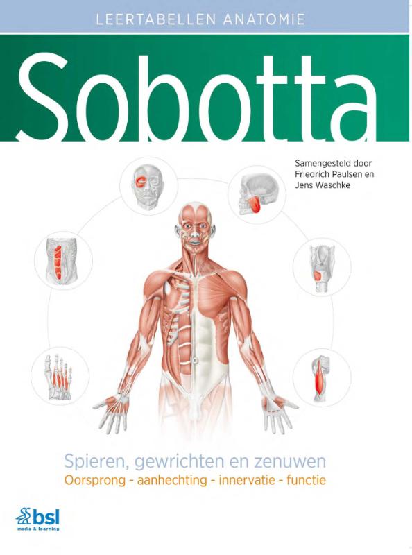 Omslag van Sobotta Tabellen over spieren, gewrichten en zenuwen