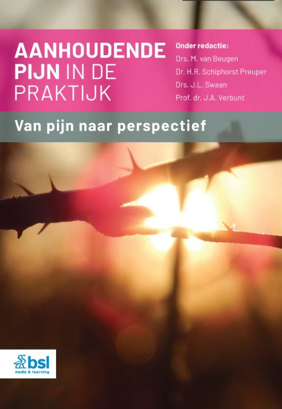 Omslag van Aanhoudende pijn in de praktijk