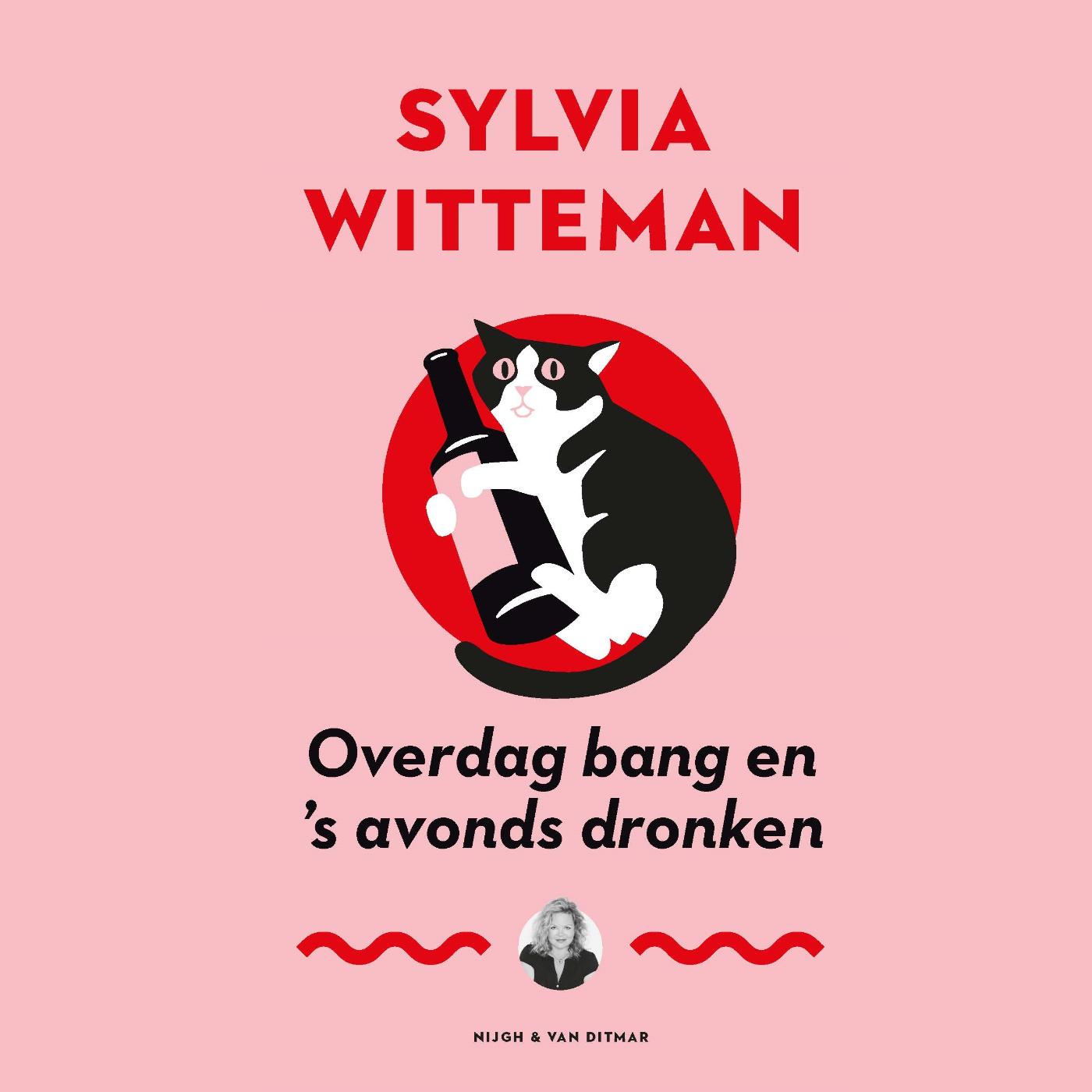 Omslag van Overdag bang en 's avonds dronken