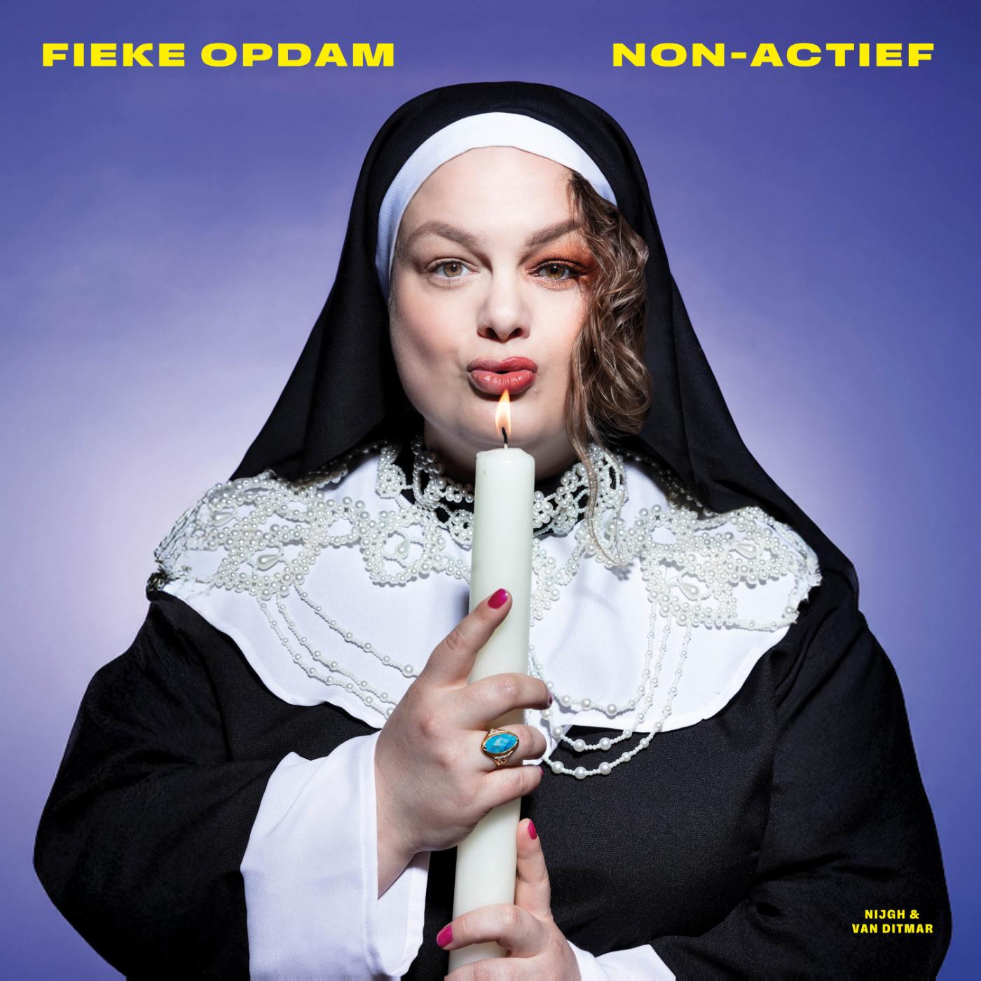 Omslag van Non-actief