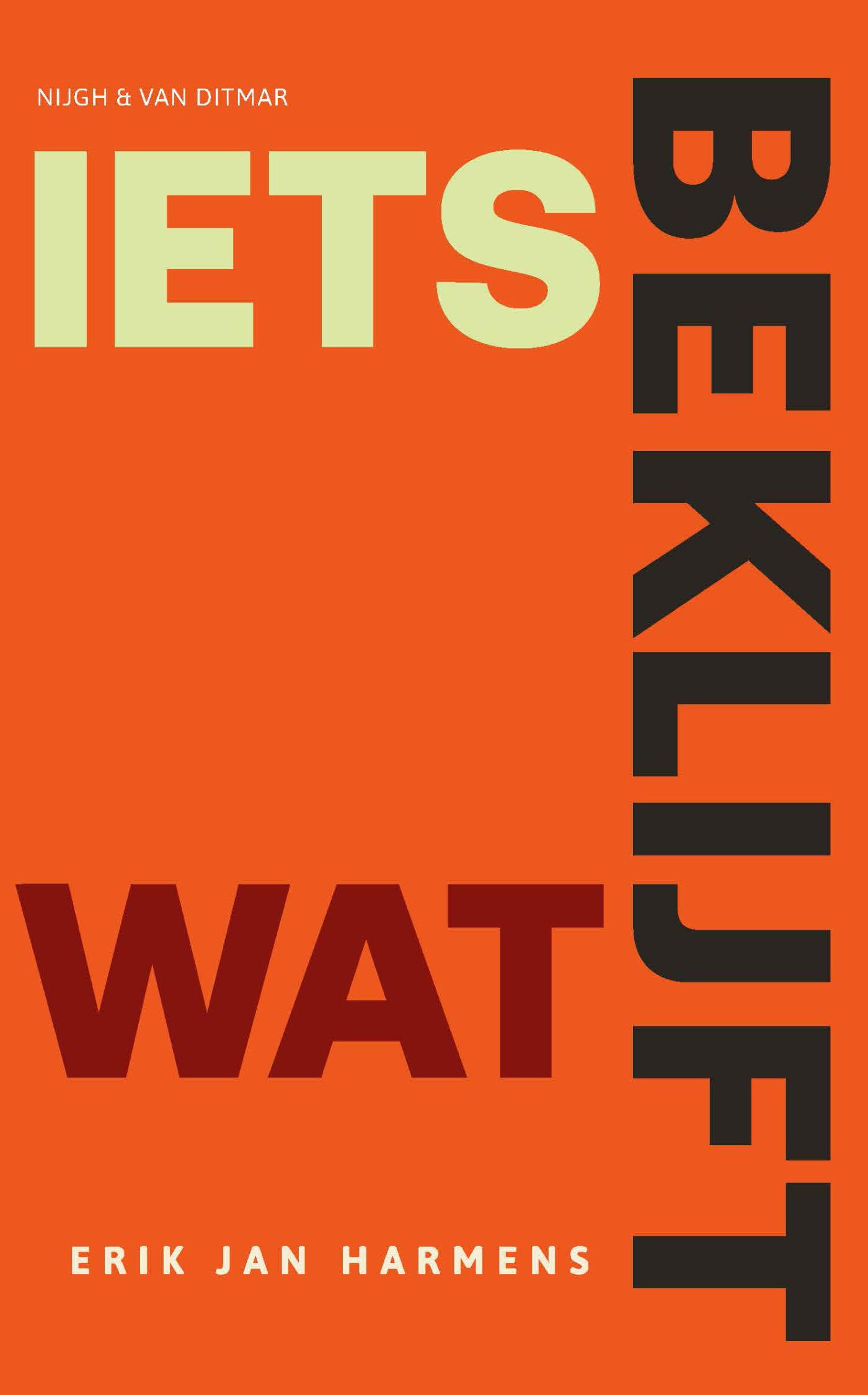 Omslag van Iets wat beklijft