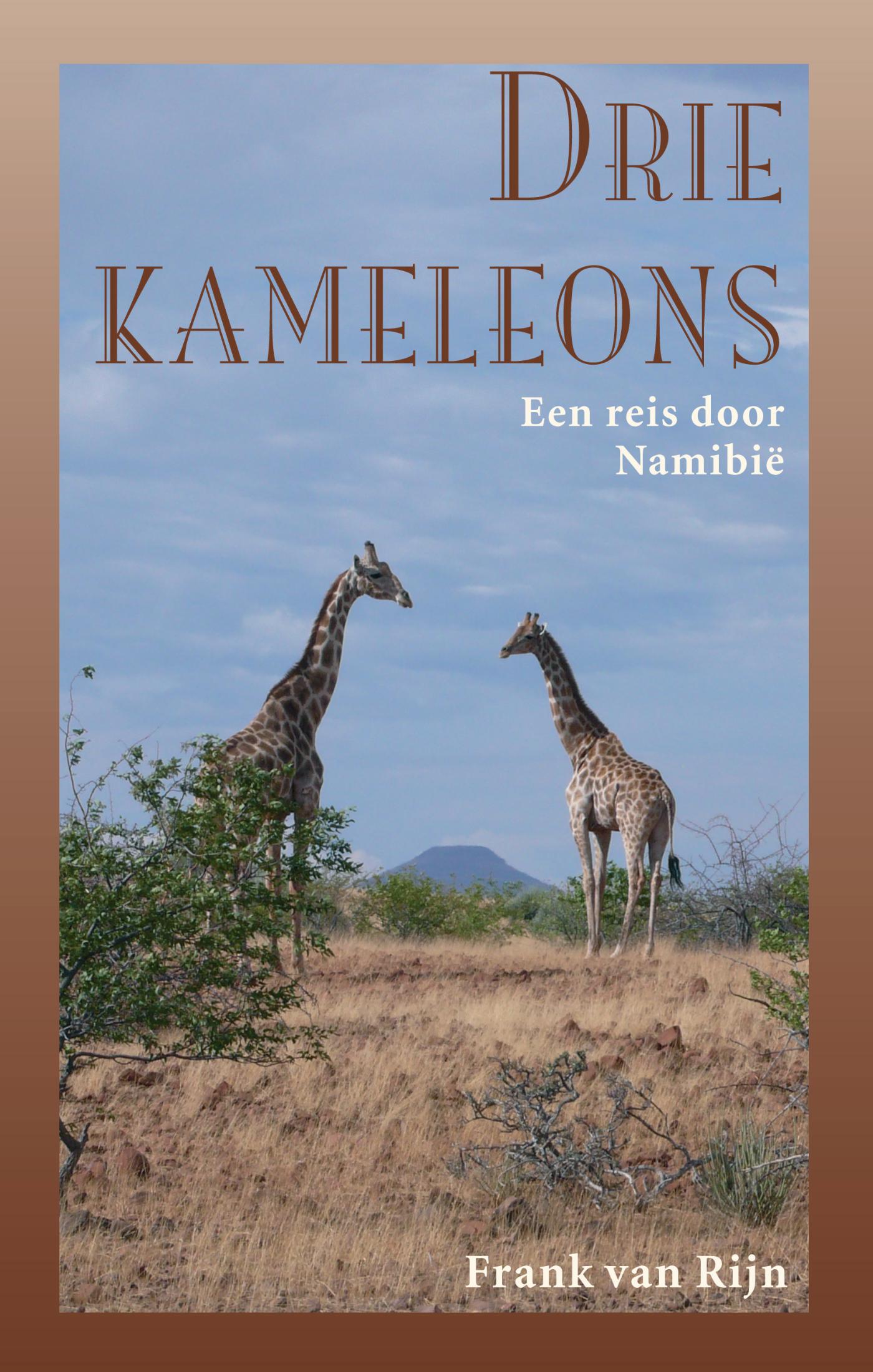 Omslag van Drie kameleons