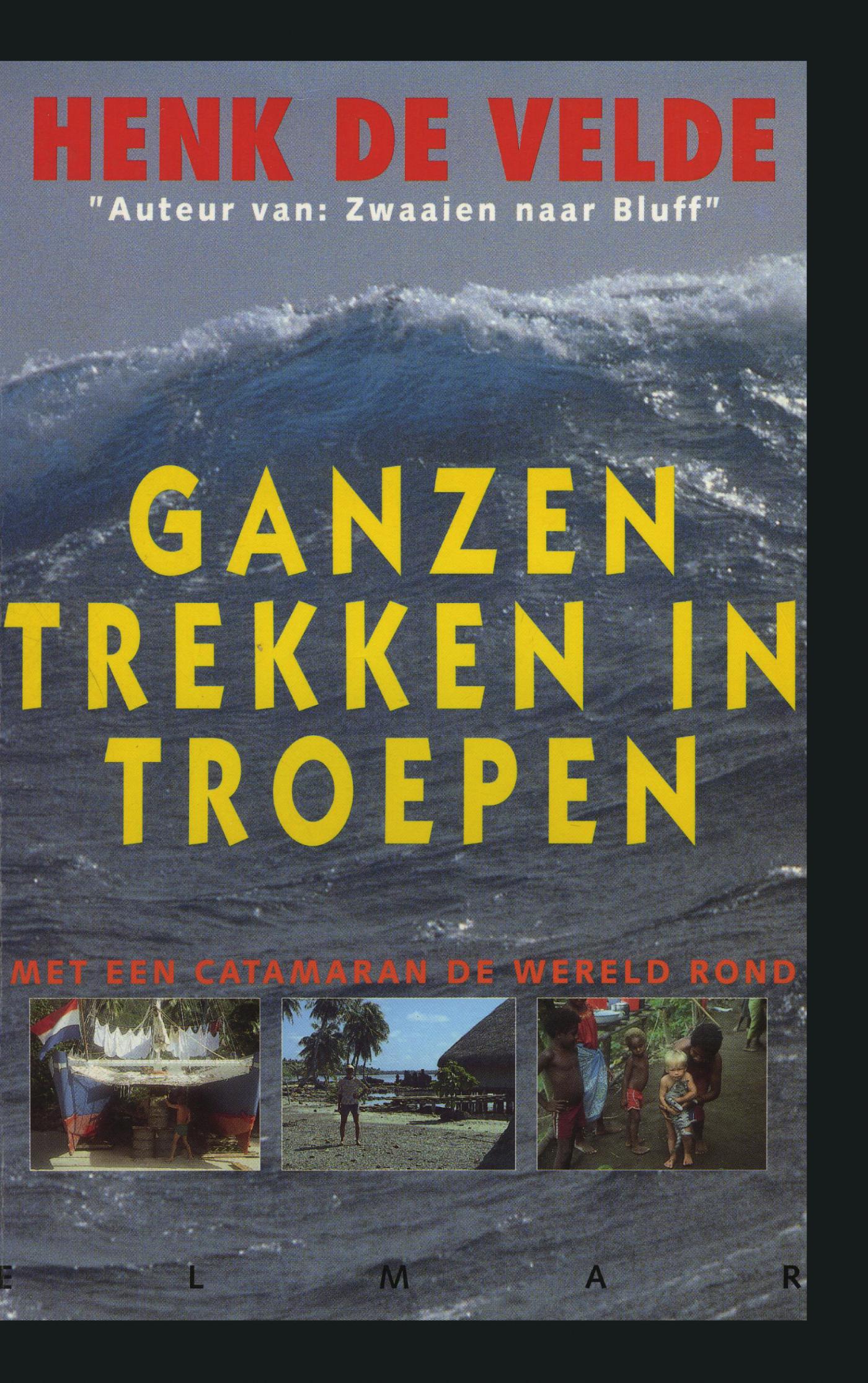 Omslag van Ganzen trekken in troepen