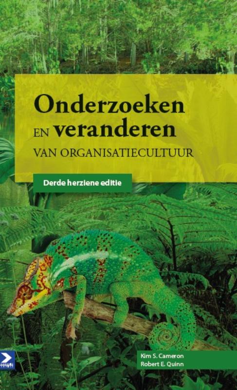 Omslag van Onderzoeken en veranderen van organisatiecultuur