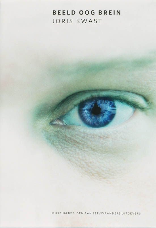 Omslag van Beeld Oog Brein