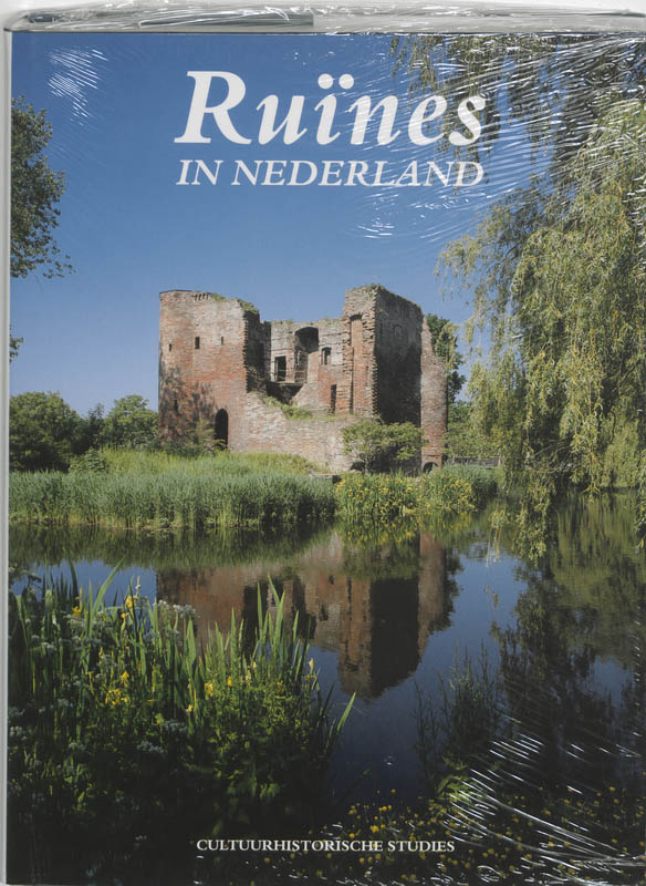 Omslag van Ruines in Nederland