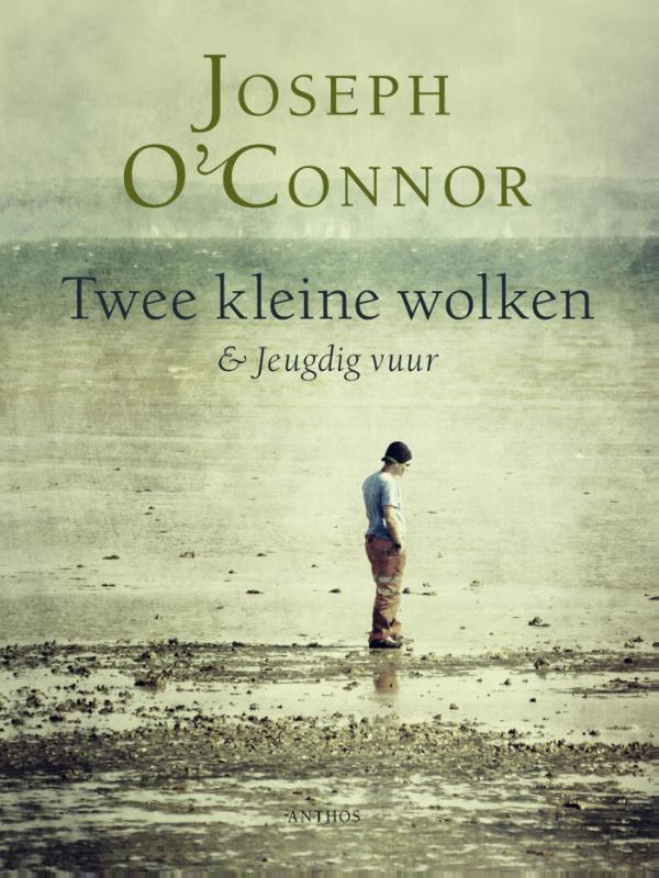 Omslag van Twee kleine wolken en Jeugdig vuur