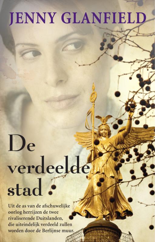 Omslag van Verdeelde stad