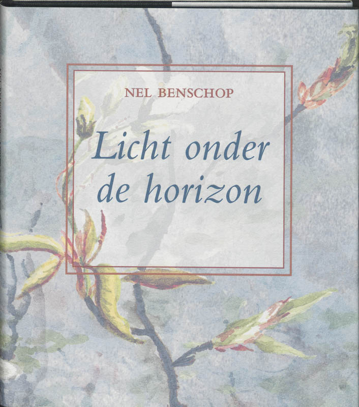 Omslag van Licht onder de horizon