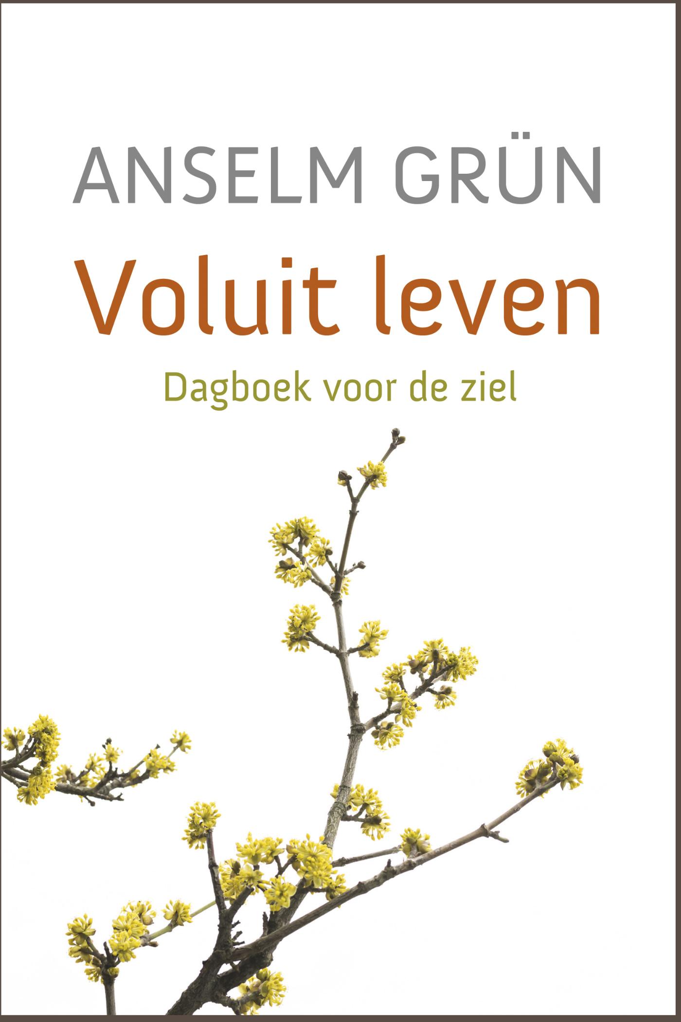 Omslag van Voluit leven