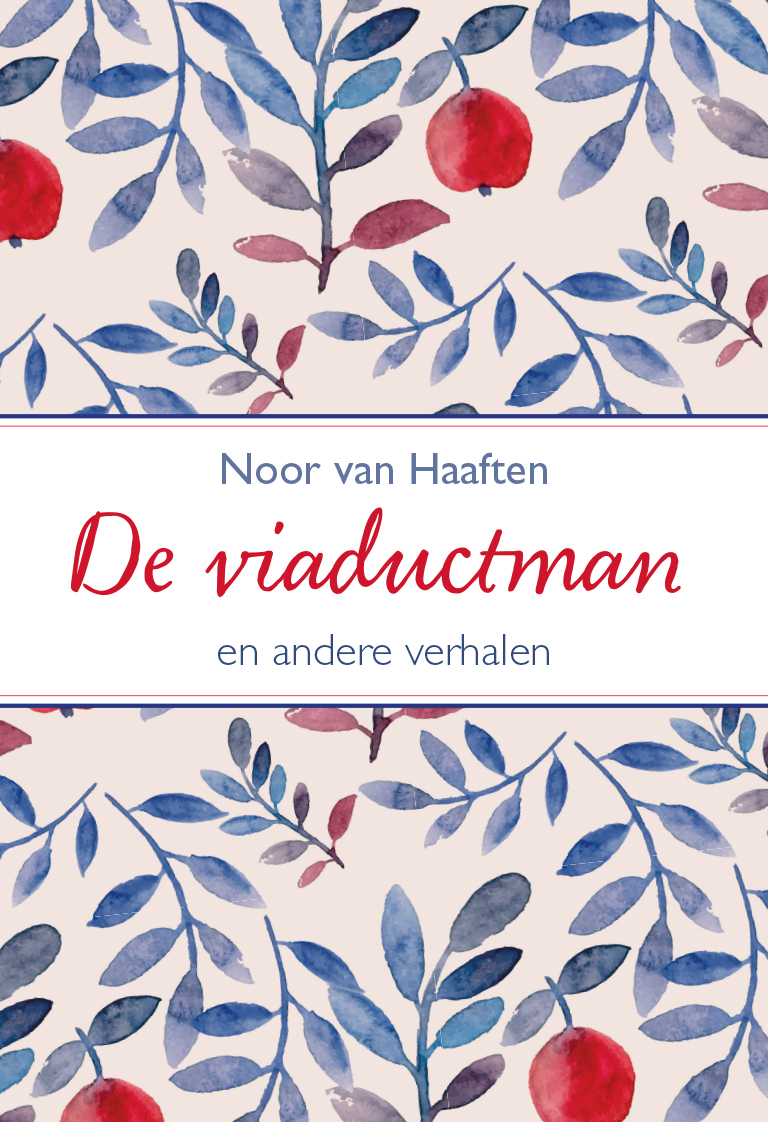 Omslag van De viaductman