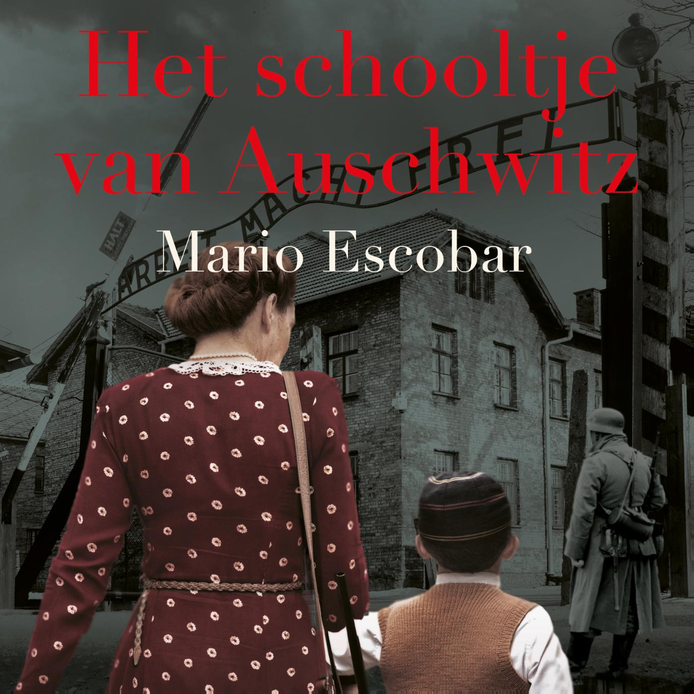 Omslag van Het schooltje van Auschwitz