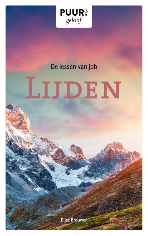 Omslag van De lessen van Job