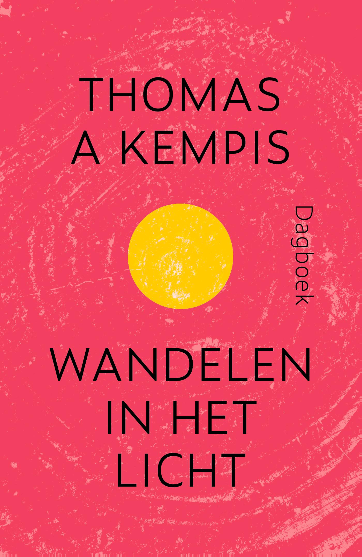 Omslag van Wandelen in het licht