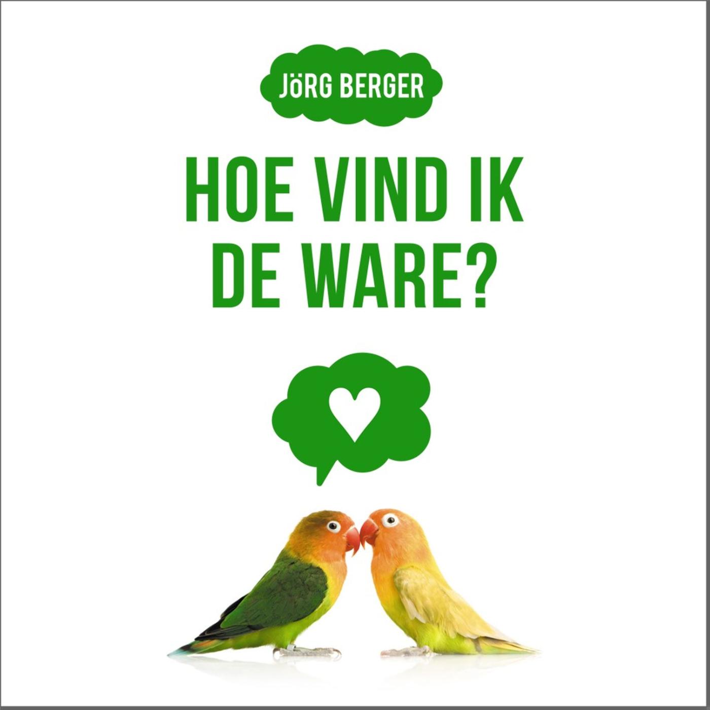 Omslag van Hoe vind ik de ware?