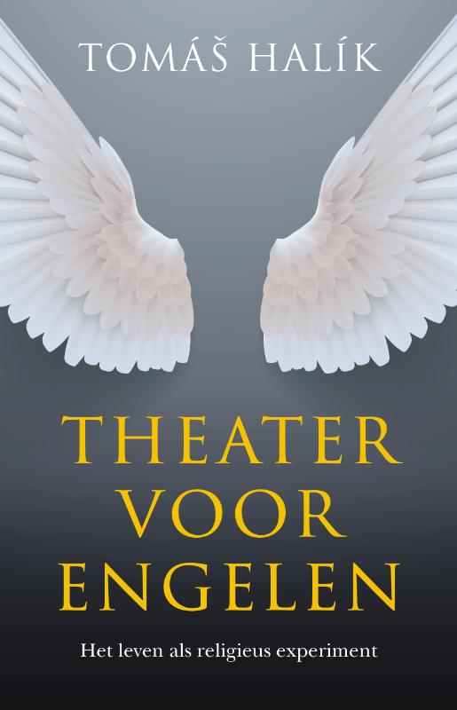 Omslag van Theater voor engelen