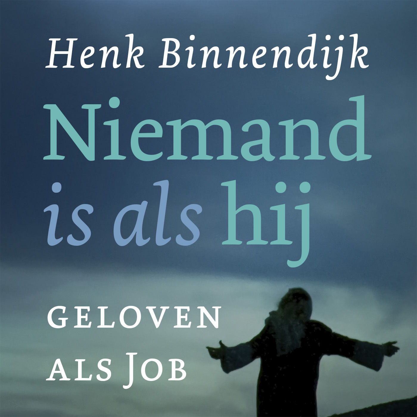 Omslag van Niemand is als hij