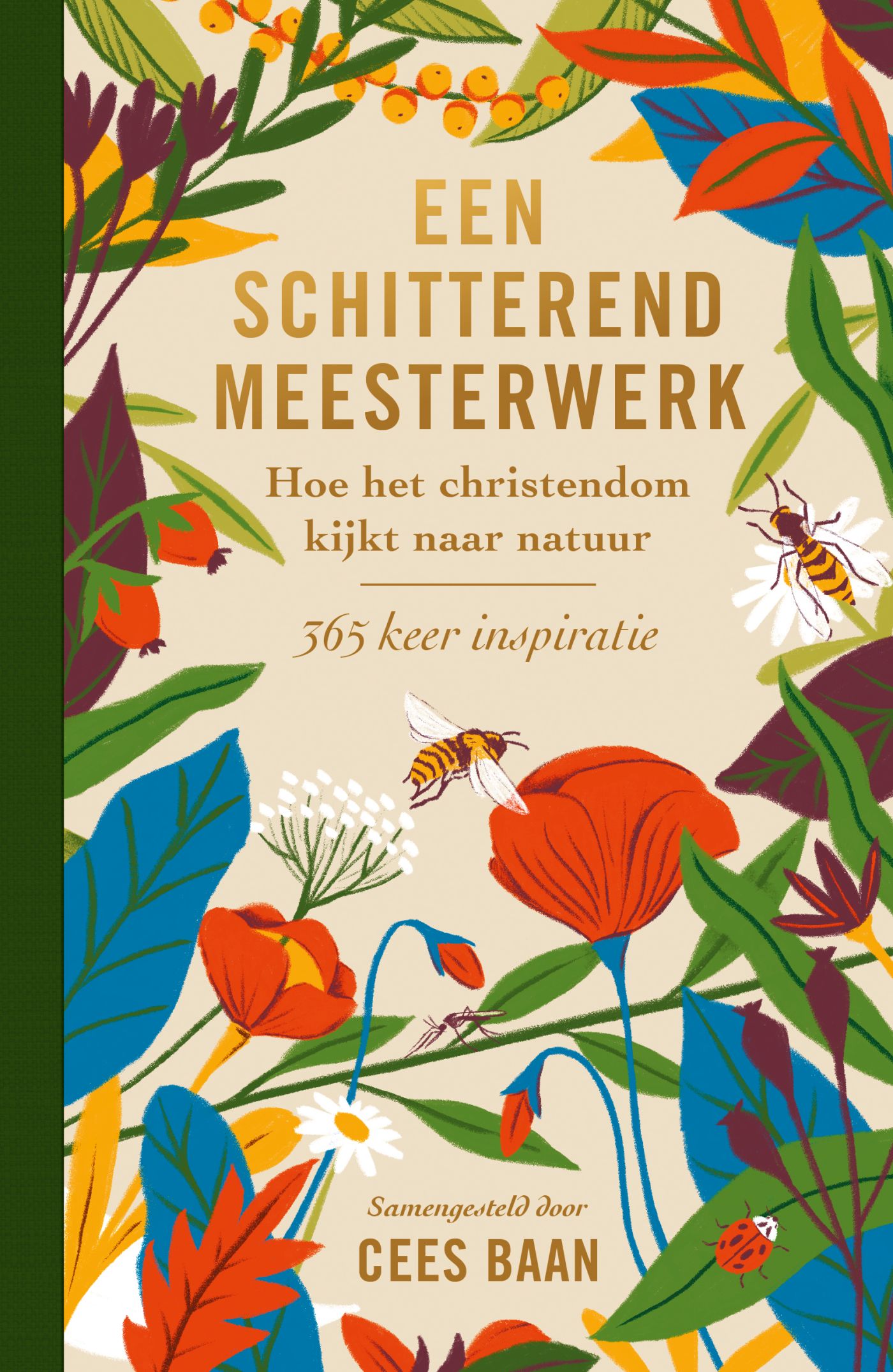 Omslag van Een schitterend meesterwerk