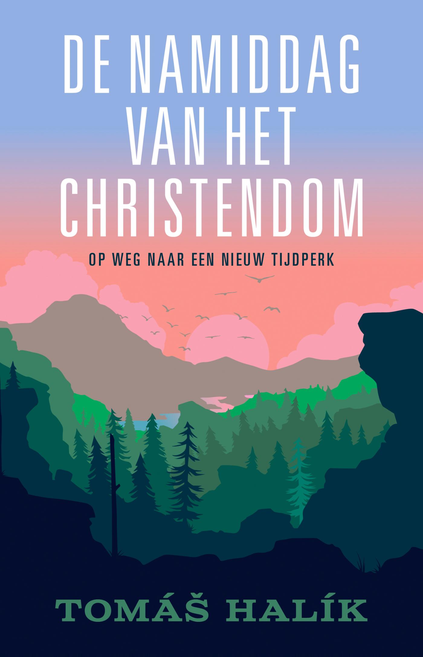 Omslag van De namiddag van het christendom