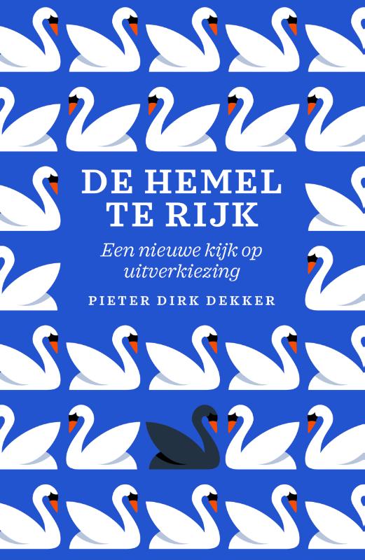 Omslag van De hemel te rijk