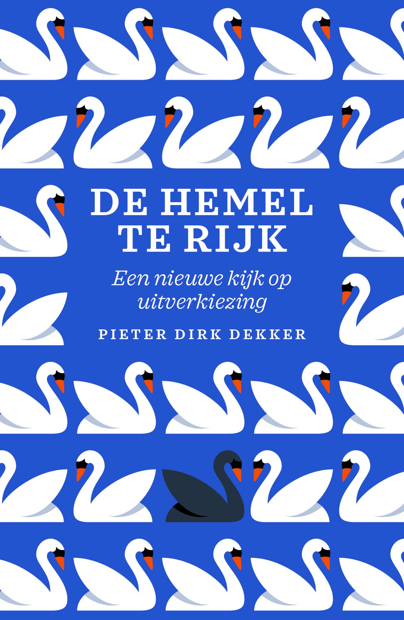 Omslag van De hemel te rijk