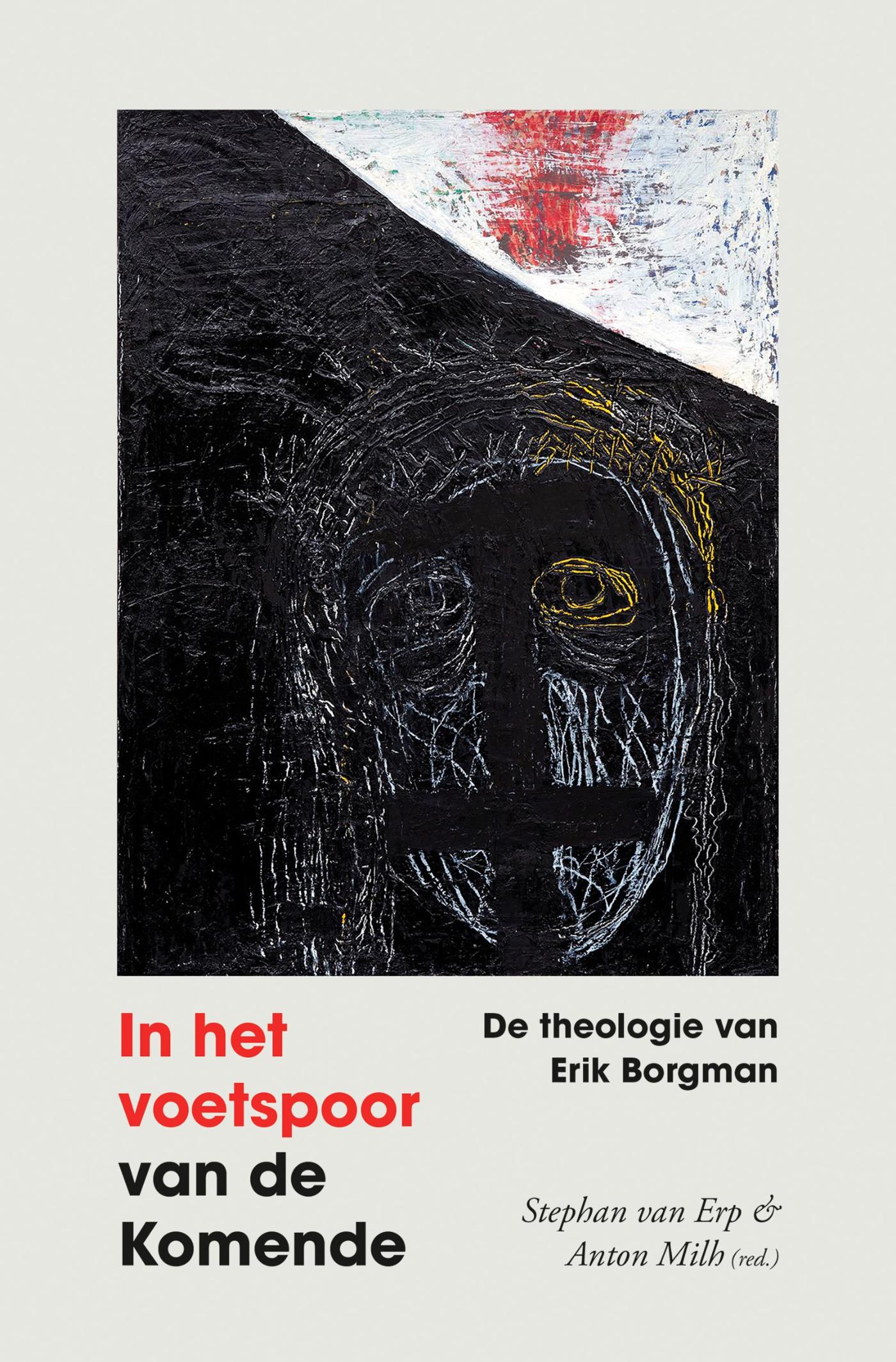 Omslag van In het voetspoor van de komende