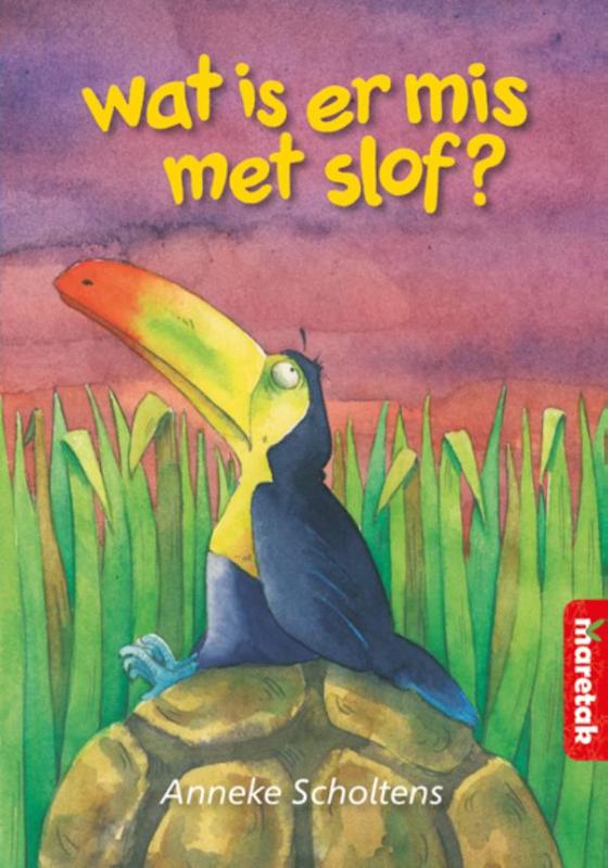 Omslag van Wat is er mis met Slof?