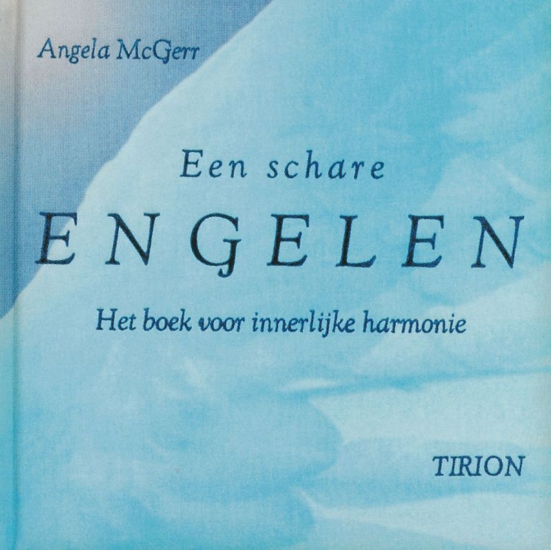 Omslag van Een schare engelen