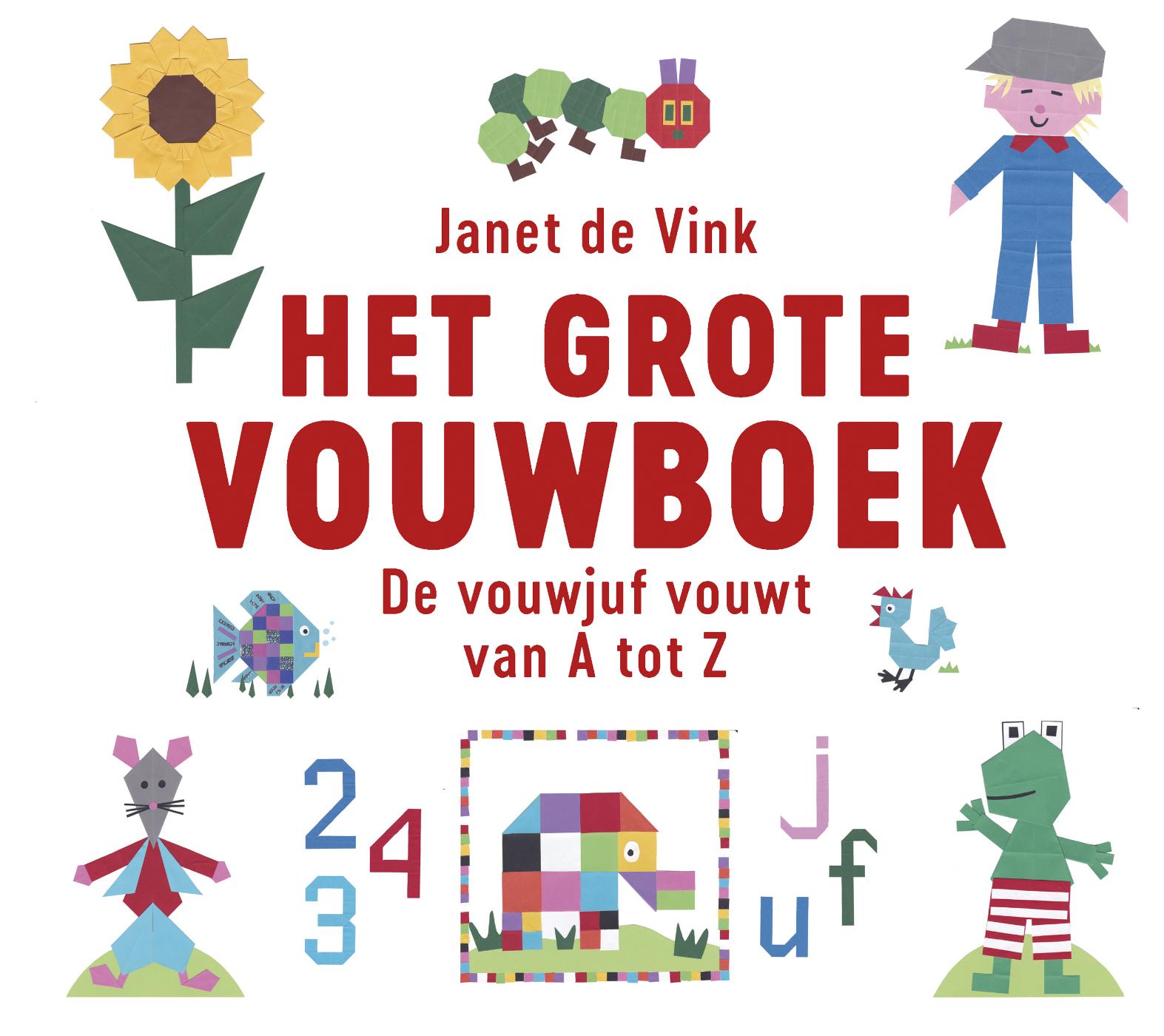 Omslag van Het grote vouwboek