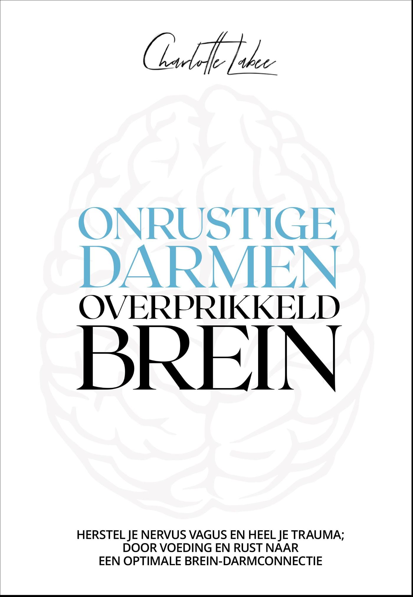 Omslag van Onrustige darmen, overprikkeld brein