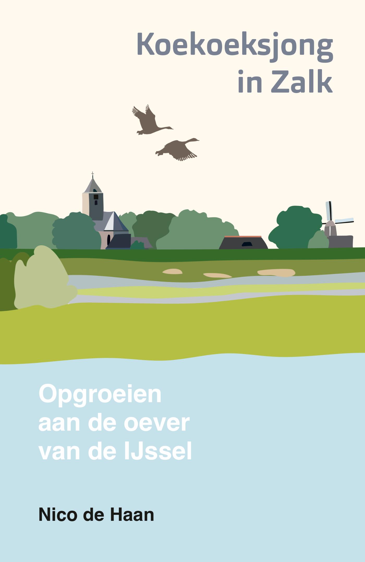 Omslag van Koekoeksjong in Zalk