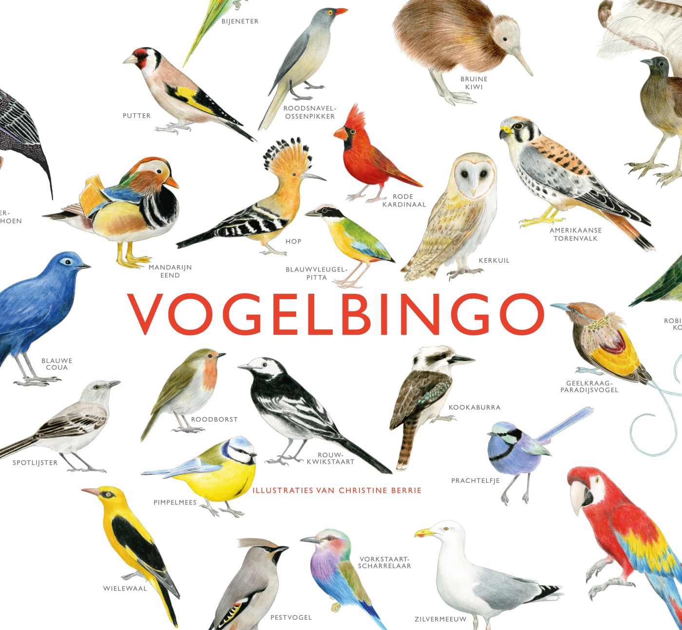 Omslag van Vogelbingo