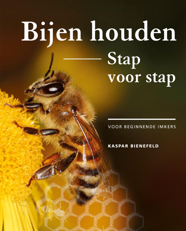 Omslag van Bijen houden stap voor stap