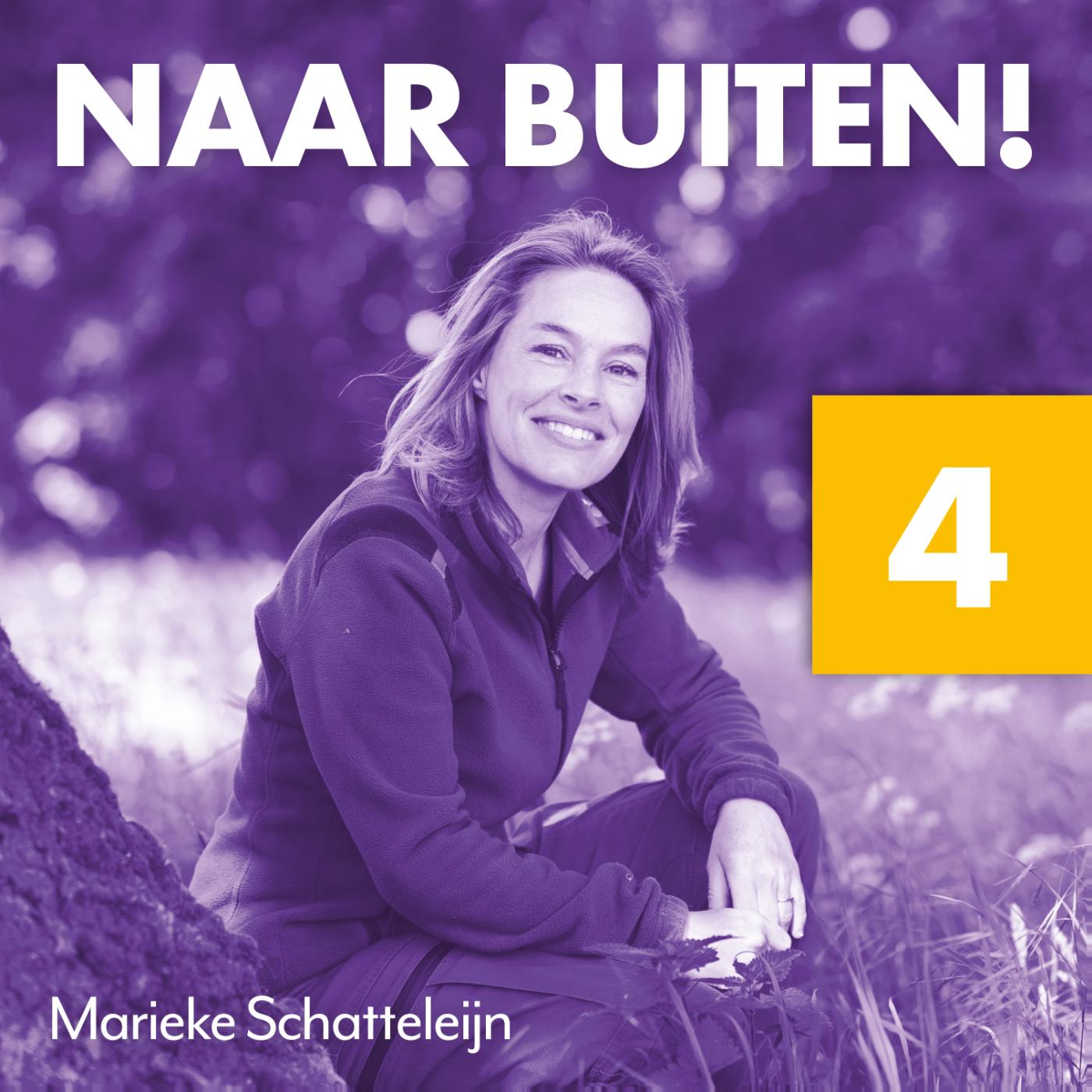 Omslag van 4