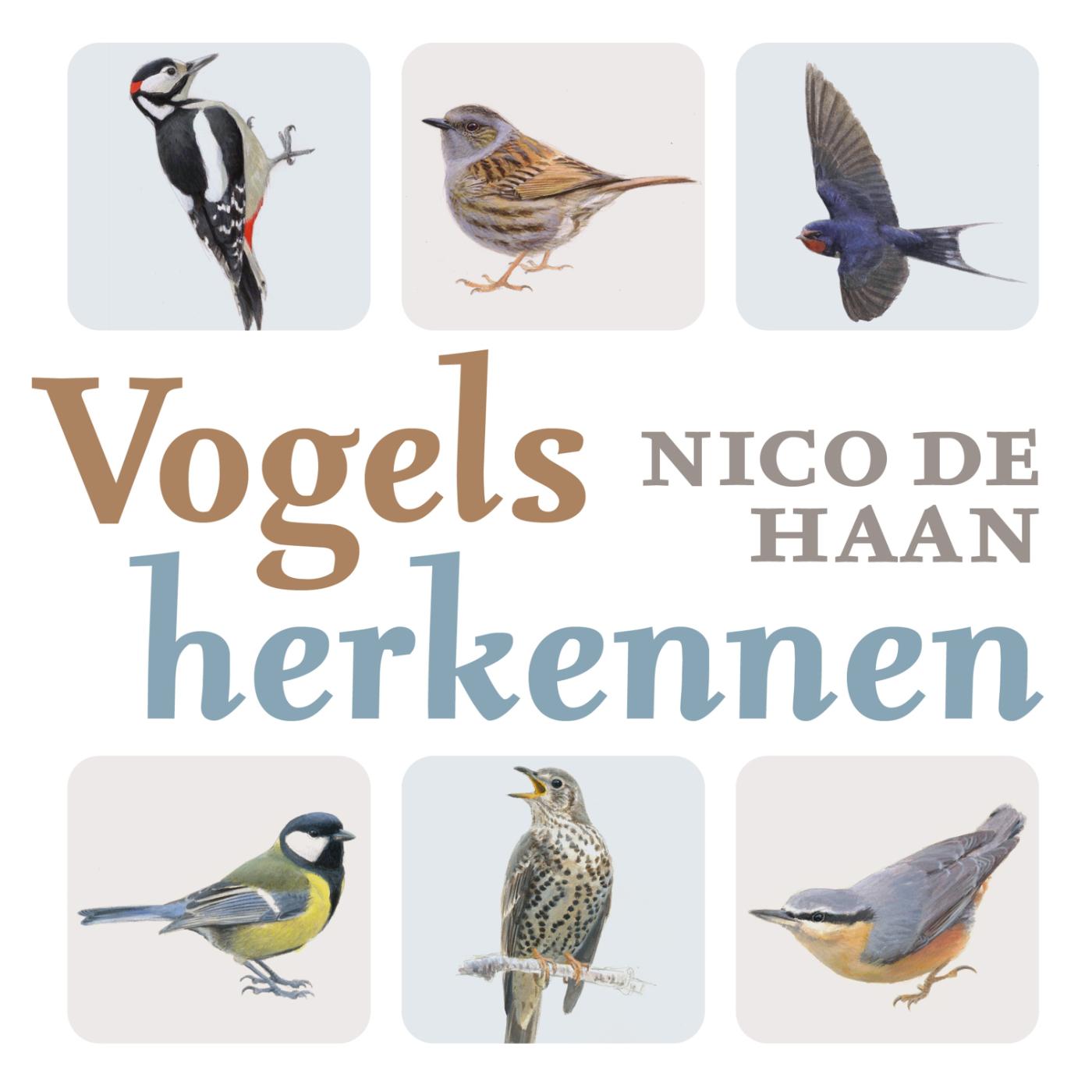 Omslag van Vogels herkennen