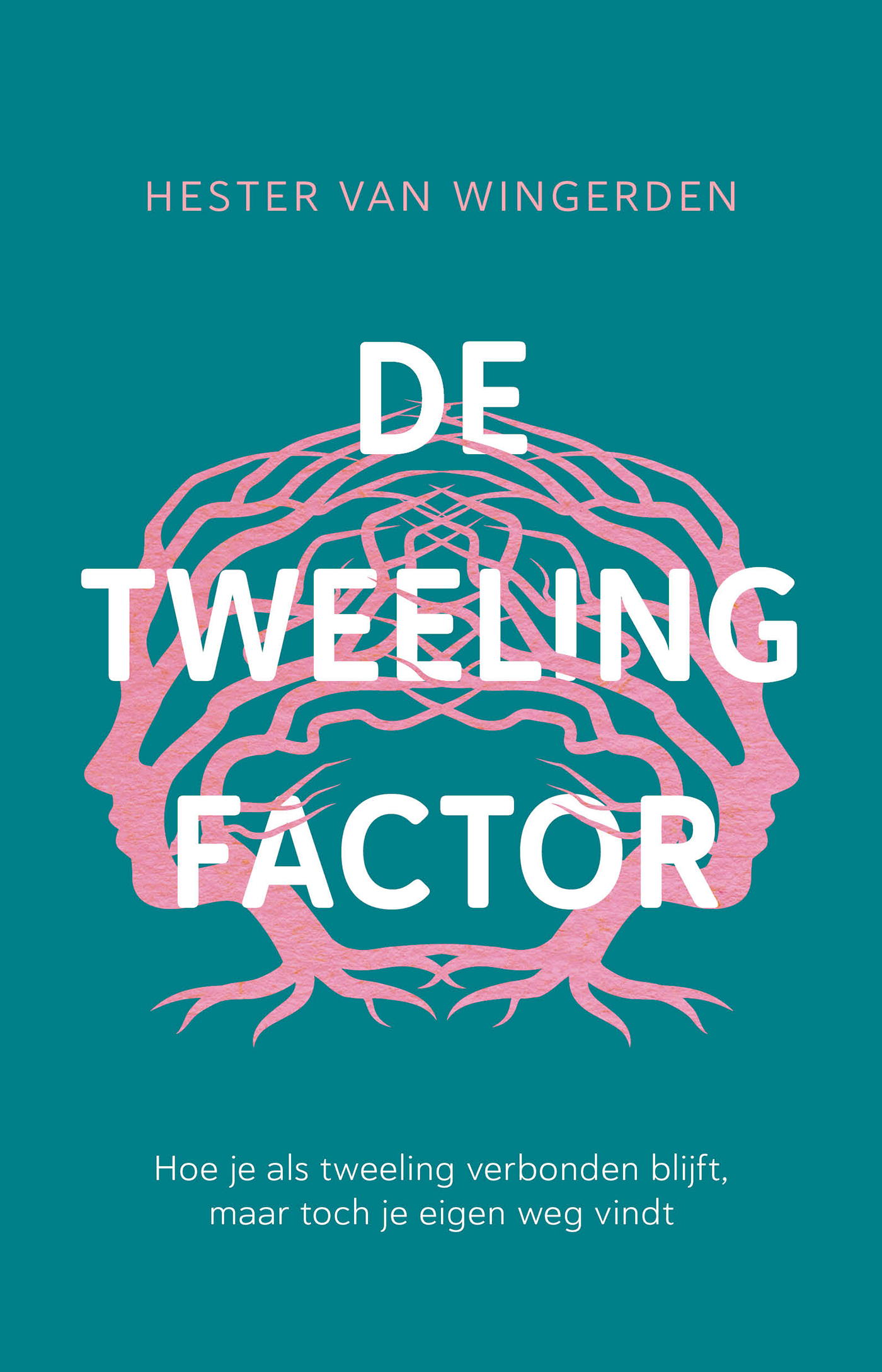 Omslag van De tweelingfactor
