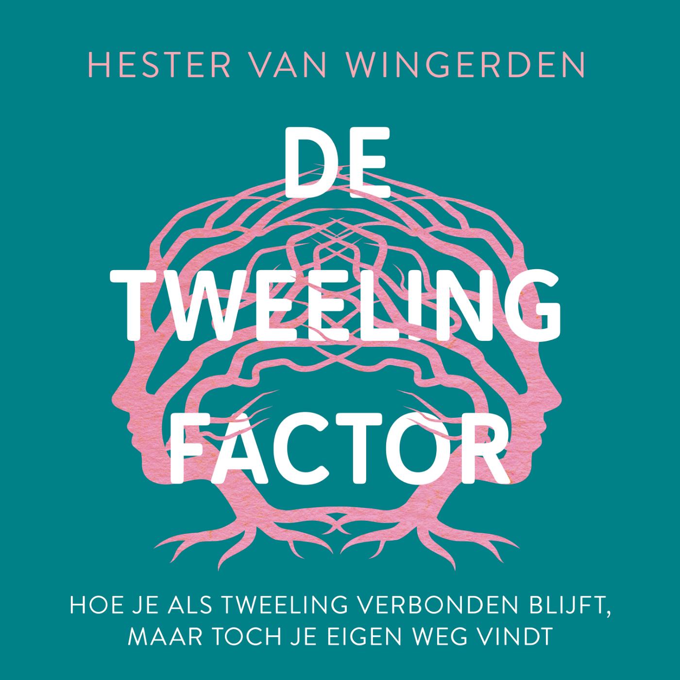 Omslag van De tweelingfactor