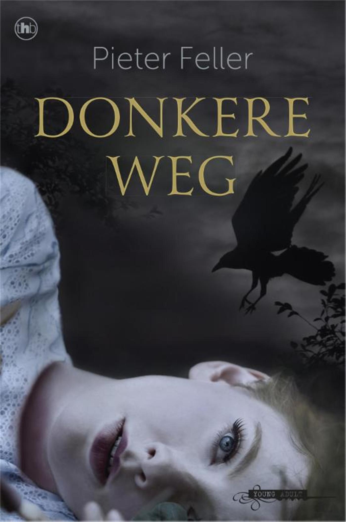 Omslag van Donkere weg