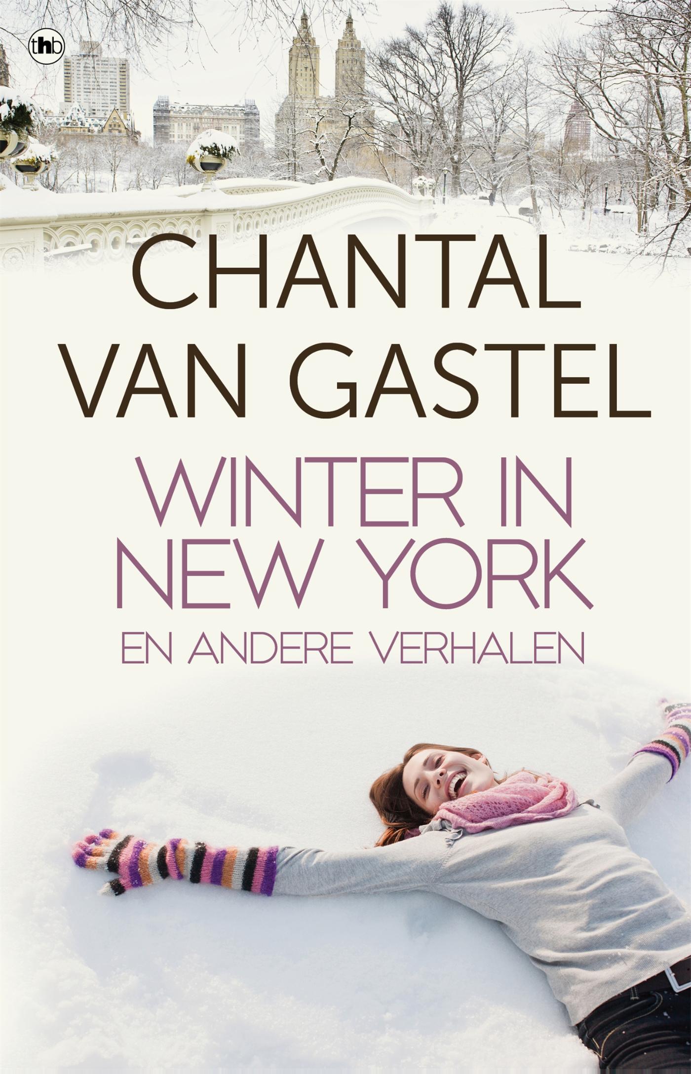 Omslag van Winter in New York