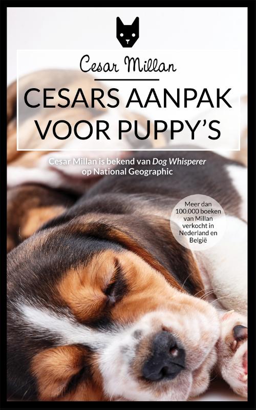 Omslag van Cesars aanpak voor puppy's