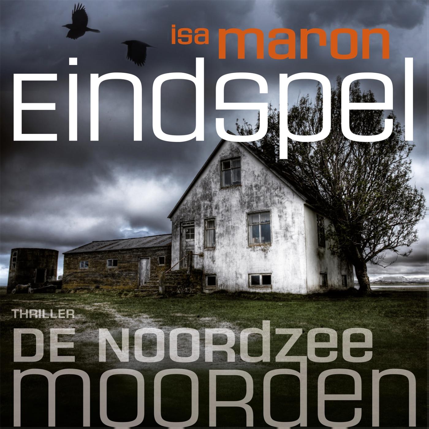 Omslag van Eindspel