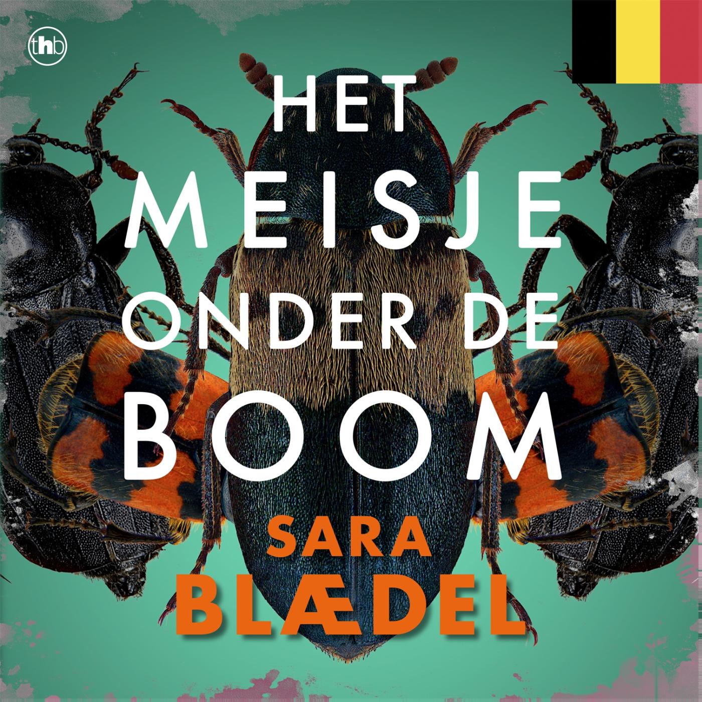 Omslag van Het meisje onder de boom
