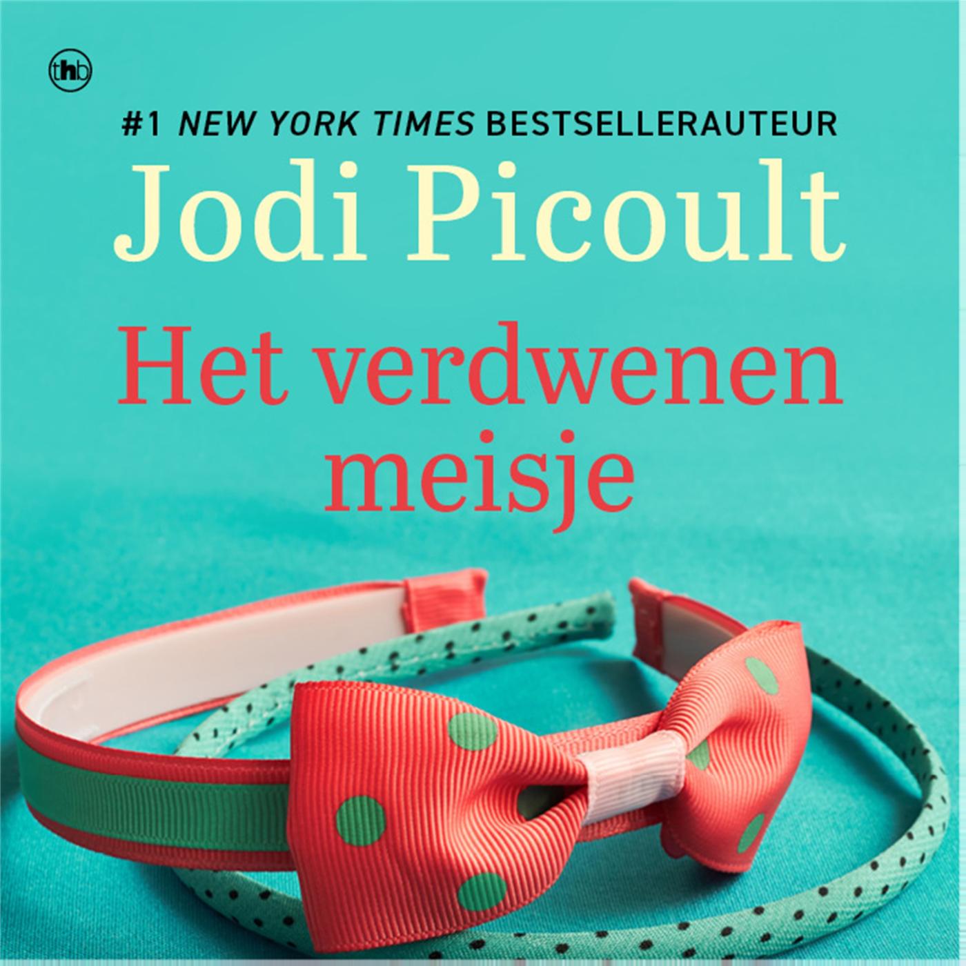 Omslag van Het verdwenen meisje