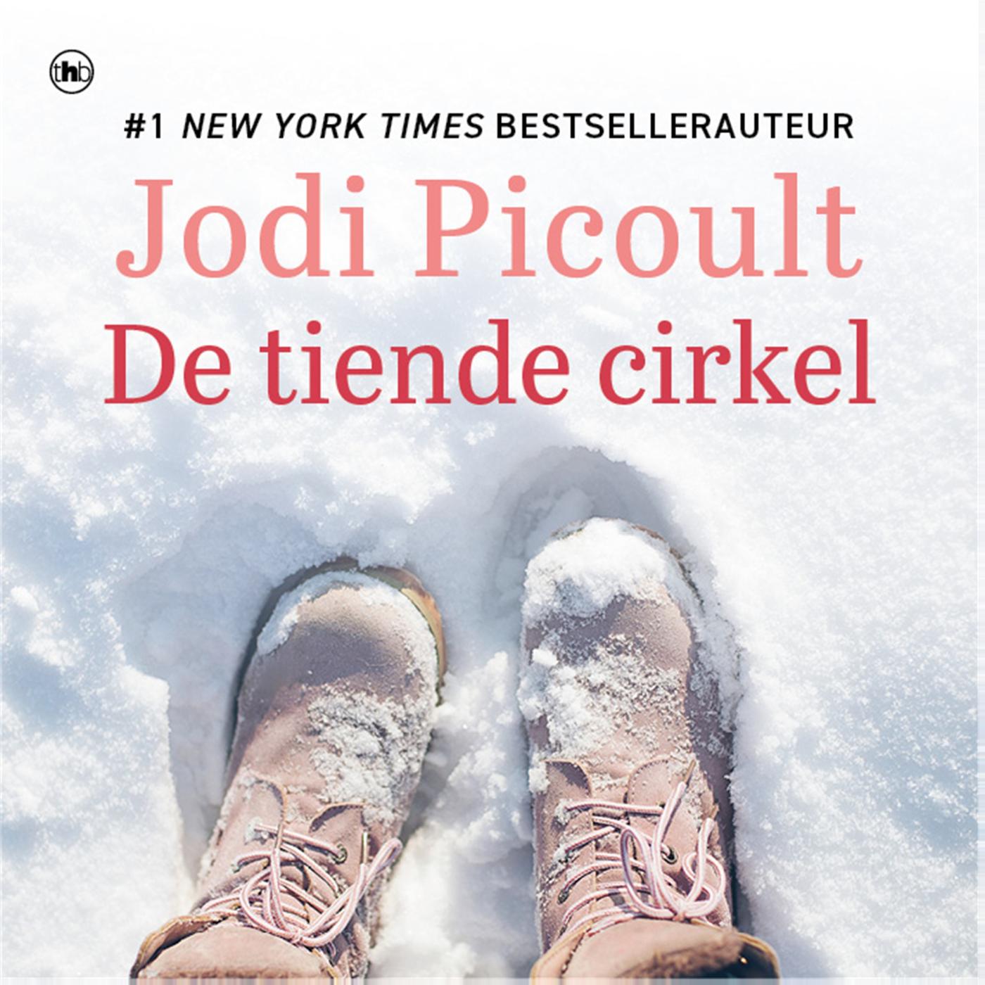 Omslag van De tiende cirkel